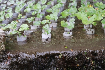 Photo from 2024/5/12