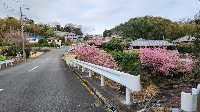 Photo from 2024/2/17