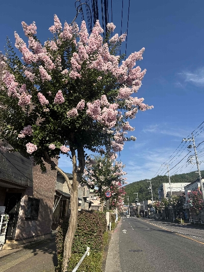 Photo from 2025/7/26