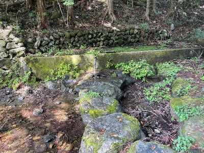 Photo from 2023/9/16