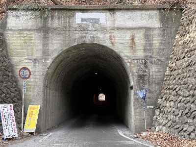 Photo from 2024/12/22