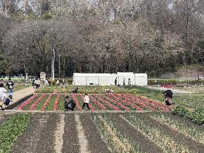 Photo from 2026/3/29