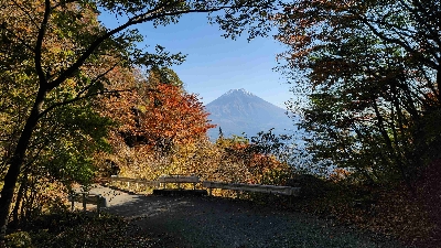 Photo from 2025/11/7