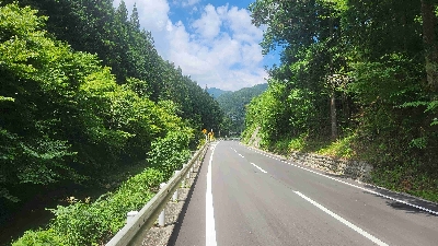 Photo from 2024/8/10