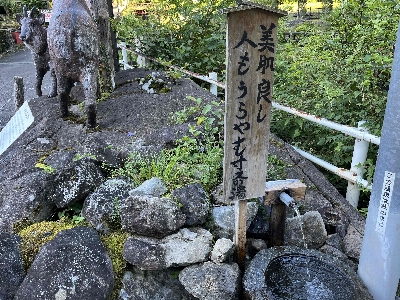 Photo from 2025/7/26