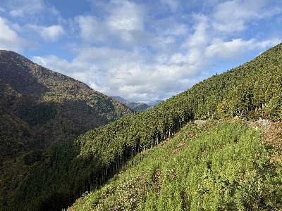 Photo from 2024/11/9