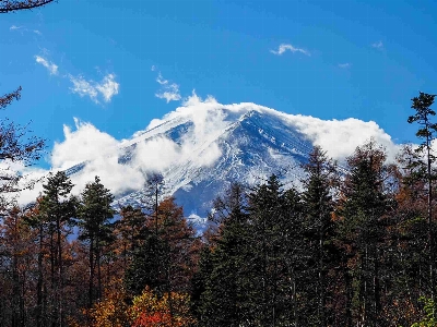 Photo from 2024/11/24