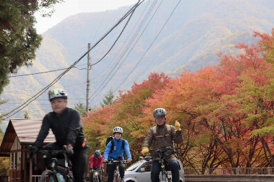 Photo from 2024/11/10