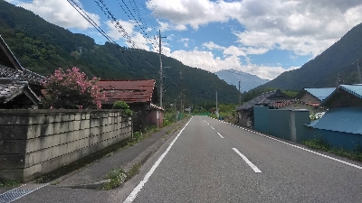 Photo from 2018/8/25