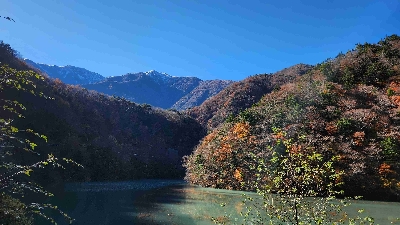 Photo from 2024/11/21