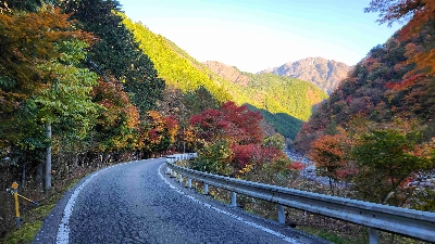 Photo from 2025/11/16