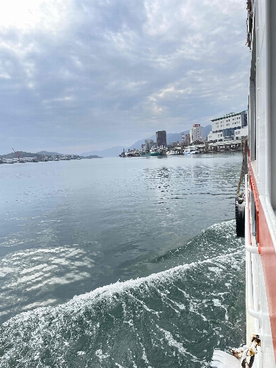 Photo from 2024/10/26