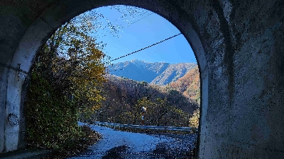 Photo from 2024/11/21