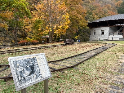 Photo from 2023/11/5