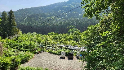 Photo from 2025/5/19