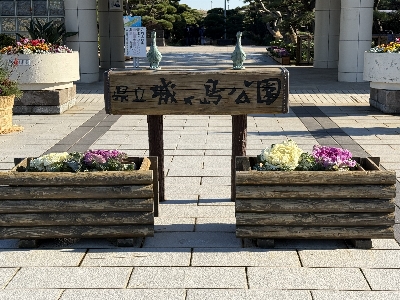 Photo from 2025/12/28