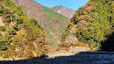 Photo from 2025/11/16