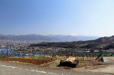 Photo from 2025/3/23