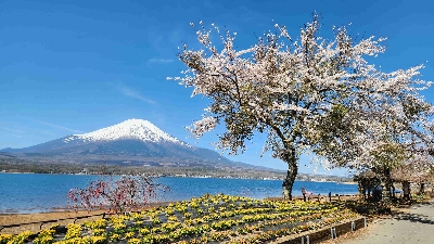 Photo from 2026/4/14