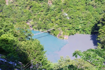 Photo from 2025/7/26