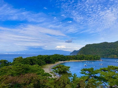 Photo from 2023/11/12