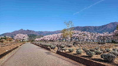 Photo from 2025/4/20