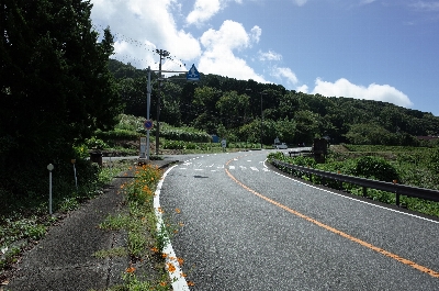 Photo from 2024/9/15