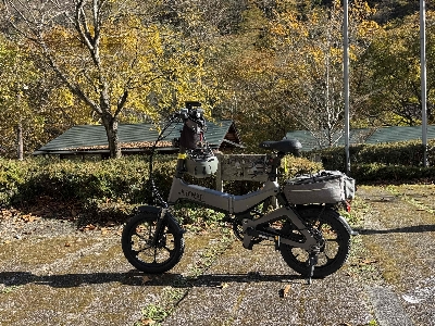 Photo from 2024/11/10