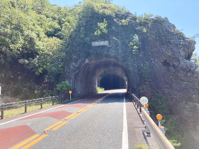 Photo from 2024/4/28