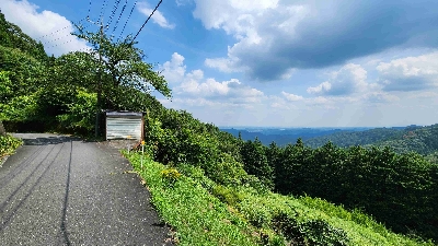 Photo from 2024/8/13