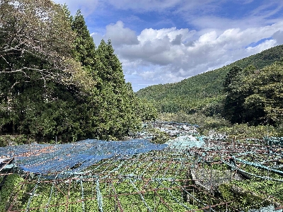 Photo from 2025/10/18