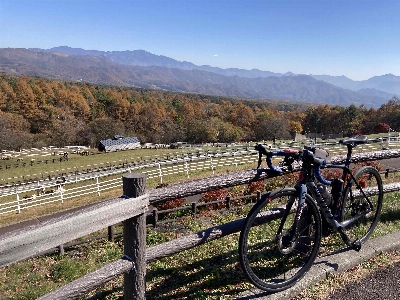 Photo from 2023/11/3