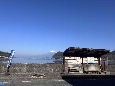 Photo from 2026/1/17