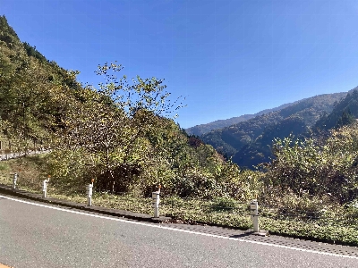 Photo from 2024/11/9