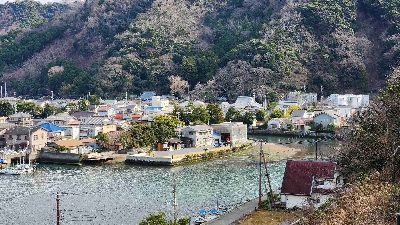 Photo from 2024/1/28