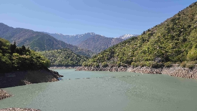 Photo from 2025/4/27