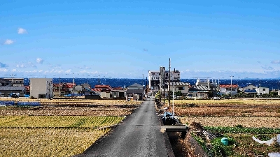 Photo from 2024/1/24