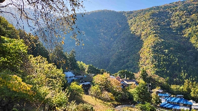 Photo from 2025/11/7