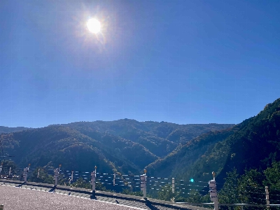 Photo from 2024/11/9