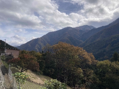 Photo from 2024/11/10