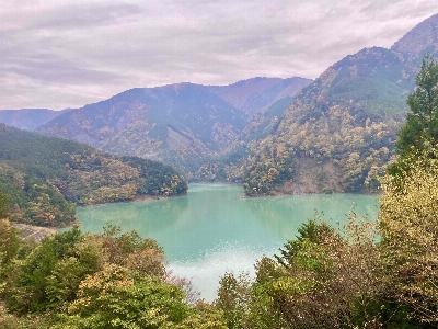 Photo from 2024/11/16