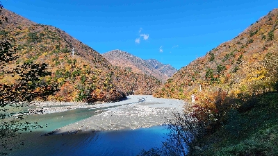 Photo from 2024/11/21