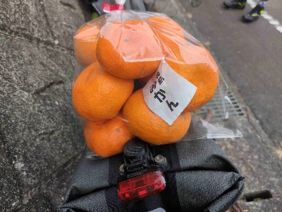 Photo from 2025/1/18