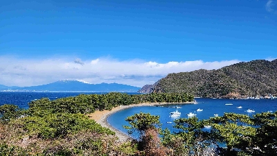 Photo from 2024/1/24