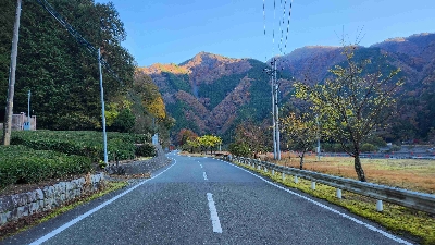 Photo from 2025/11/16