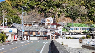 Photo from 2024/1/28