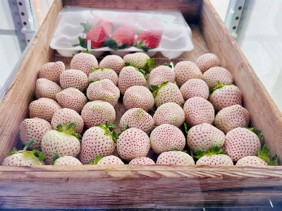 Photo from 2025/12/27