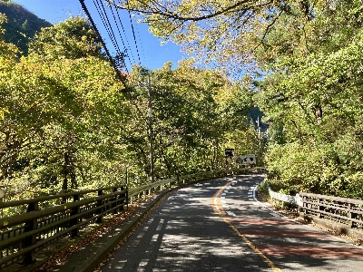 Photo from 2024/11/9