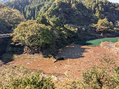 Photo from 2024/11/3