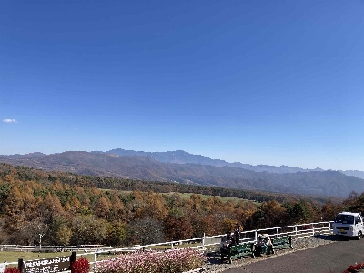 Photo from 2023/11/3